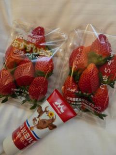 Spica(すぴか)　新★まい★完全業界初！