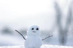 雪??積もりません様に?