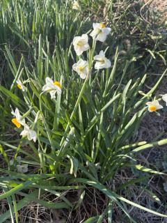 人妻宅急便　小夜(さよ)美熟女