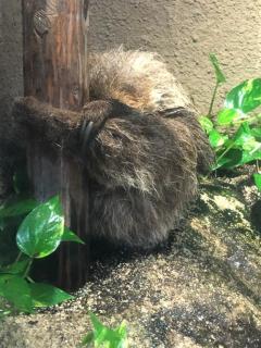 月花美人　まり◆愛らしい♡人気の奥様☆