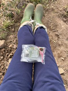 キュート(出水市) かおり