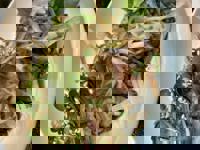 大人の遊園痴「スピーディー」　りつ（敏感で癒し系）