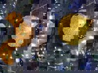 大人の遊園痴「スピーディー」　りつ（敏感で癒し系）