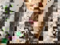 Relaxation spa Clover リラクゼーションスパ クローバー　ミオ★Mio