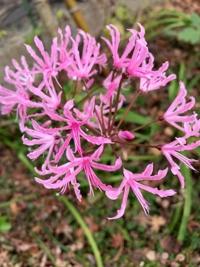 待ちナビ らいあ 只今、出勤中です♪