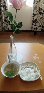 宮崎ちゃんこ都城店　なつこ