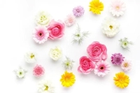 今日も12時～17時で出勤してます