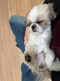 TheGrandPhoenix　ジェイ※爆乳Jカップ