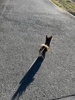 CLUB LUMINE(中津市) Haru【ハル】