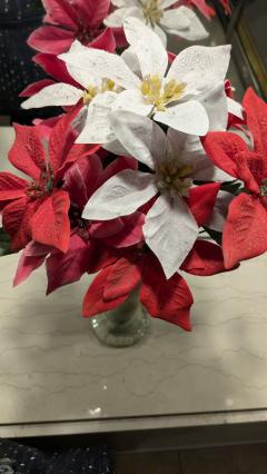 ご主人様いらっしゃい 大分店 瑠依♡スレンダー（ご希望即尺）