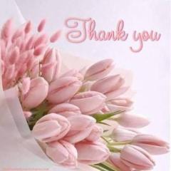 鹿児島ちゃんこ薩摩川内店(薩摩川内市) なな