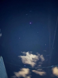 TheGrandPhoenix　ききょう※エロ美魔女