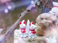 鹿児島ちゃんこ 霧島店　おとは