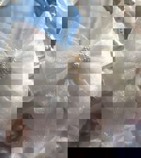 CLUB ULTRA　ほのか