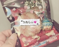 鹿児島ちゃんこ 霧島店　しずか