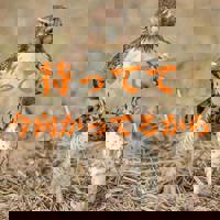 80分コースのお兄様？