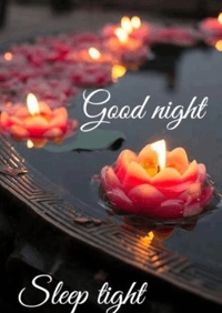 TheGrandPhoenix　ありさ※可愛い清楚奥様