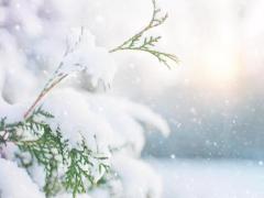 Spica(すぴか)　★かおる★電撃移籍入店決定！