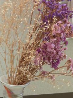 Spica(すぴか)　新★まい★完全業界初！