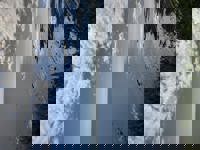 大人の遊園痴「スピーディー」　りつ（敏感で癒し系）