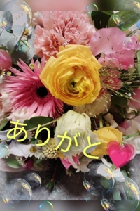 鹿児島ちゃんこ薩摩川内店　せいこ