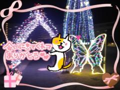 JaPON　珠紀ﾀﾏｷ