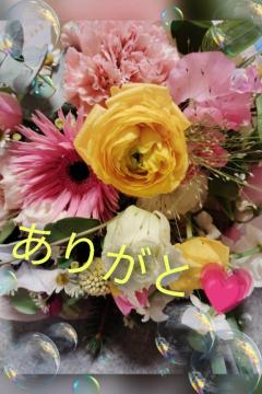 鹿児島ちゃんこ薩摩川内店　せいこ