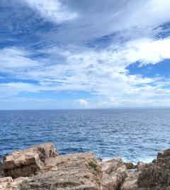 とるっ娘　バニラ