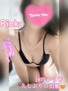 MICHELIN ミシュラン　リンカRINKA