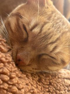 clubNOA　◆るみ◆