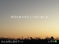 鹿児島ちゃんこ 霧島店　しずか