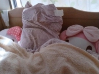 待ちナビ るか 皆さん誰と寝ていますか