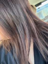 鹿児島ちゃんこ 霧島店　しずか