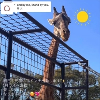 マドンナSANSAIN　天音