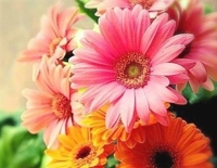 待ちナビ るり お疲れ様です