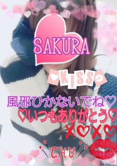 MICHELIN ミシュラン　サクラSakura