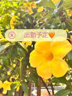 キャンディ　カオルコ