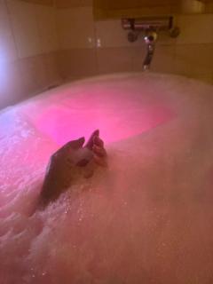 鹿児島ちゃんこ薩摩川内店 すいれん