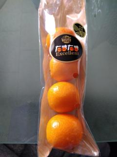 人妻セレブ　野風(のかぜ)