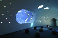 人妻24時　しずく