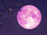 待ちナビ あまね 今日は