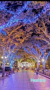 TheGrandPhoenix　真白※ご奉仕系超清純奥様