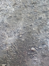 薩摩♂風俗の神様鹿児島店(鹿児島市) つむぎ 