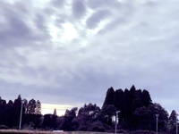 鹿児島ちゃんこ 霧島店　しずか