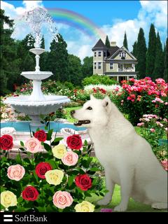 保険屋のおばちゃん　まり