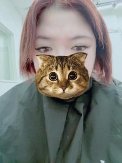 鹿児島天文館デリヘルLOVEVE～ラヴィーヴ～　きこ☆60分8千円無料OP満載☆