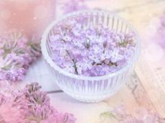 commit　みどり【五十路】