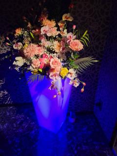 ご主人様いらっしゃい 大分店 めぐ♡可愛い系素人（体験入店）