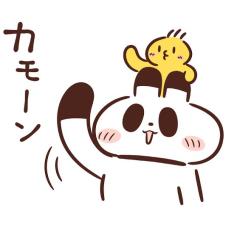 CLUB LUMINE　niko【にこ】