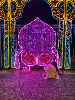 ぷにっ娘　紗子ｻｴｺ